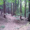 IMG-20220908-WA0007